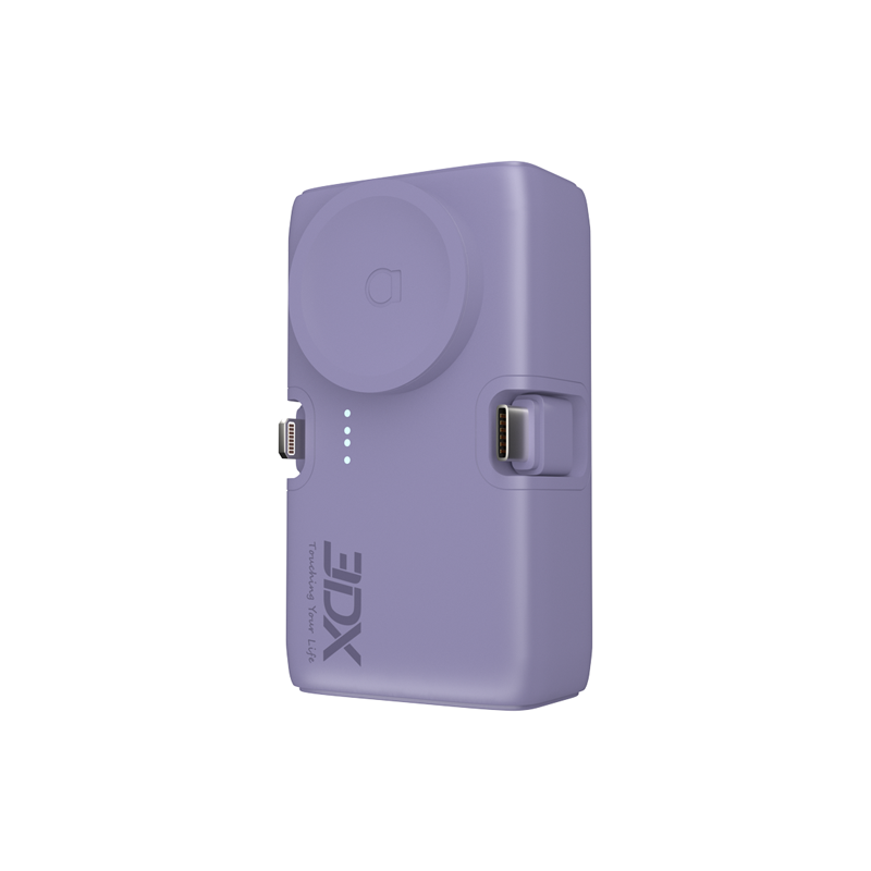 Dual port charging power bank
